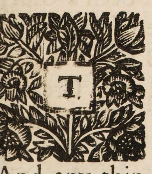 An illustration from Memoirs of the most material transactions in England, for the last hundred years, preceding the revolution in 1688. [Appendix ... of instruments and original papers], 1700, leaf 11