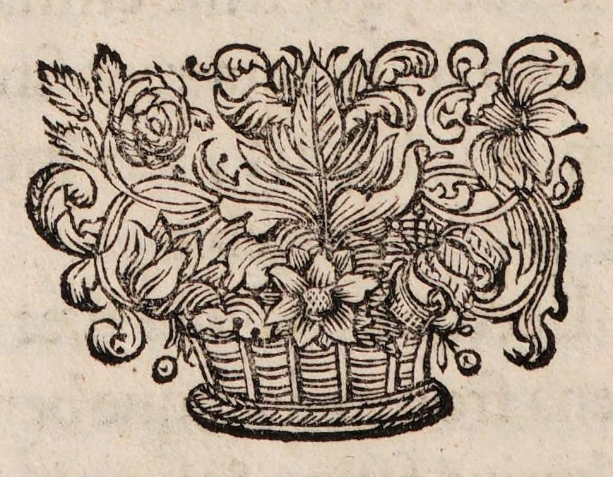 An illustration from Gallicinium medico-practicum. Sive consiliorum, observationum et curationum medicinalium novarum centuriae duae, cum dimidia ..., 1700, leaf 28