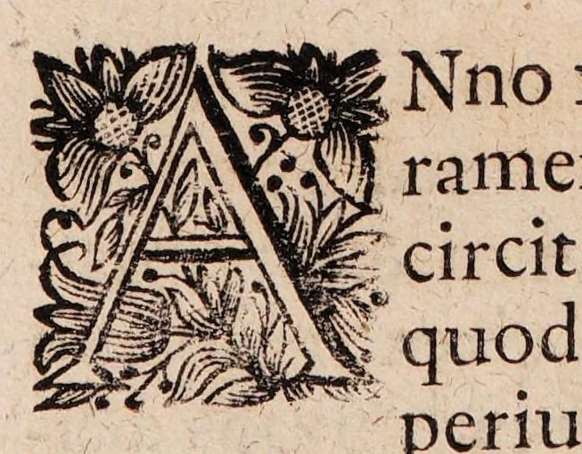 An illustration from Gallicinium medico-practicum. Sive consiliorum, observationum et curationum medicinalium novarum centuriae duae, cum dimidia ..., 1700, leaf 604