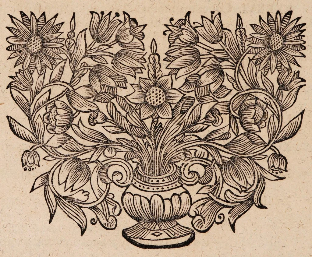 An illustration from Gallicinium medico-practicum. Sive consiliorum, observationum et curationum medicinalium novarum centuriae duae, cum dimidia ..., 1700, leaf 612