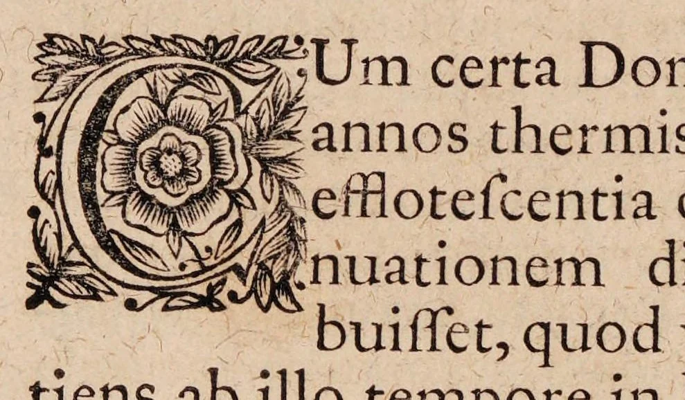 An illustration from Gallicinium medico-practicum. Sive consiliorum, observationum et curationum medicinalium novarum centuriae duae, cum dimidia ..., 1700, leaf 698