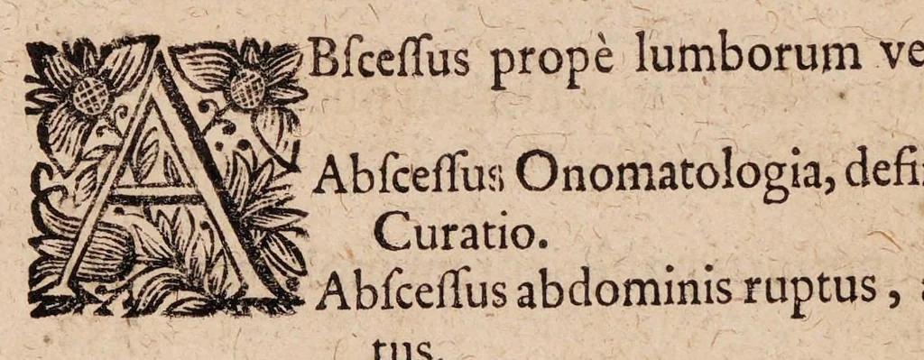An illustration from Gallicinium medico-practicum. Sive consiliorum, observationum et curationum medicinalium novarum centuriae duae, cum dimidia ..., 1700, leaf 746