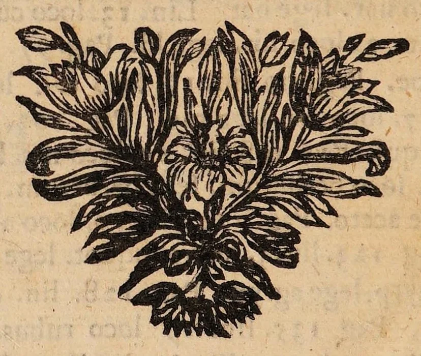 An illustration from Agonisma de hydrope curiosum ad recentiorum mentem delineatum, 1700, leaf 180