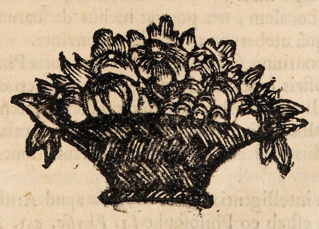 An illustration from Institutiones physicae ad usum scholarum accomodatae, 1700, leaf 141