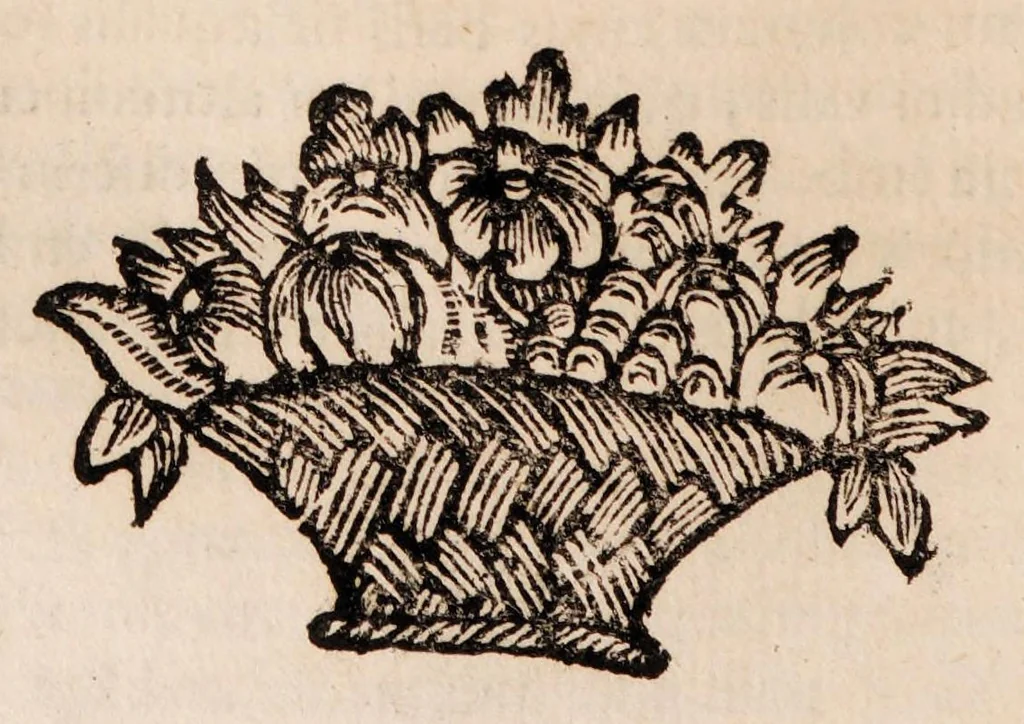 An illustration from Institutiones physicae ad usum scholarum accomodatae, 1700, leaf 276