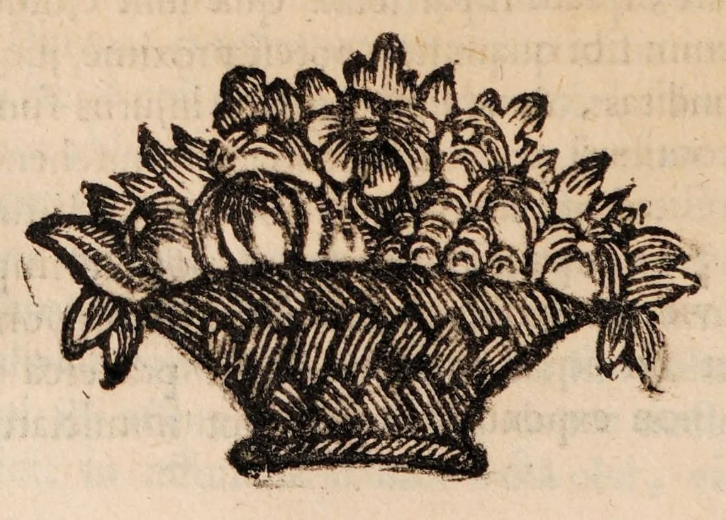 An illustration from Institutiones physicae ad usum scholarum accomodatae, 1700, leaf 382