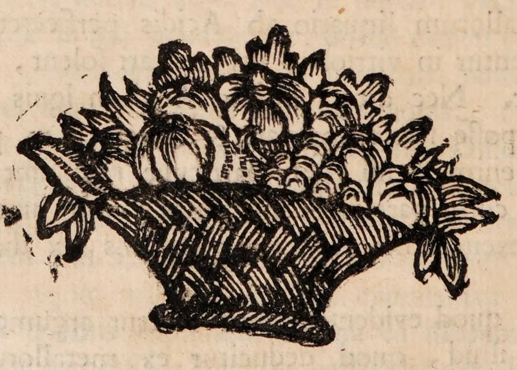 An illustration from Institutiones physicae ad usum scholarum accomodatae, 1700, leaf 598