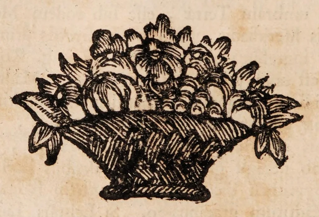 An illustration from Institutiones physicae ad usum scholarum accomodatae, 1700, leaf 108