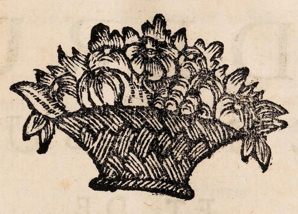 An illustration from Institutiones physicae ad usum scholarum accomodatae, 1700, leaf 61