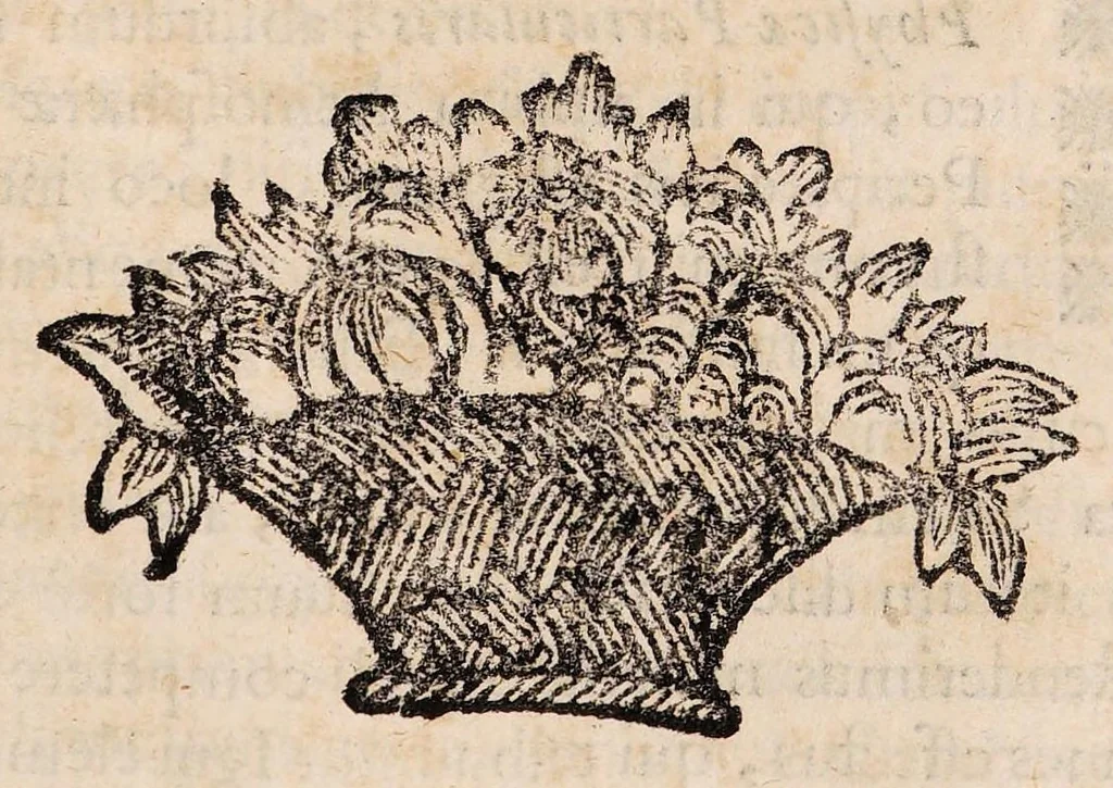 An illustration from Institutiones physicae ad usum scholarum accomodatae, 1700, leaf 629