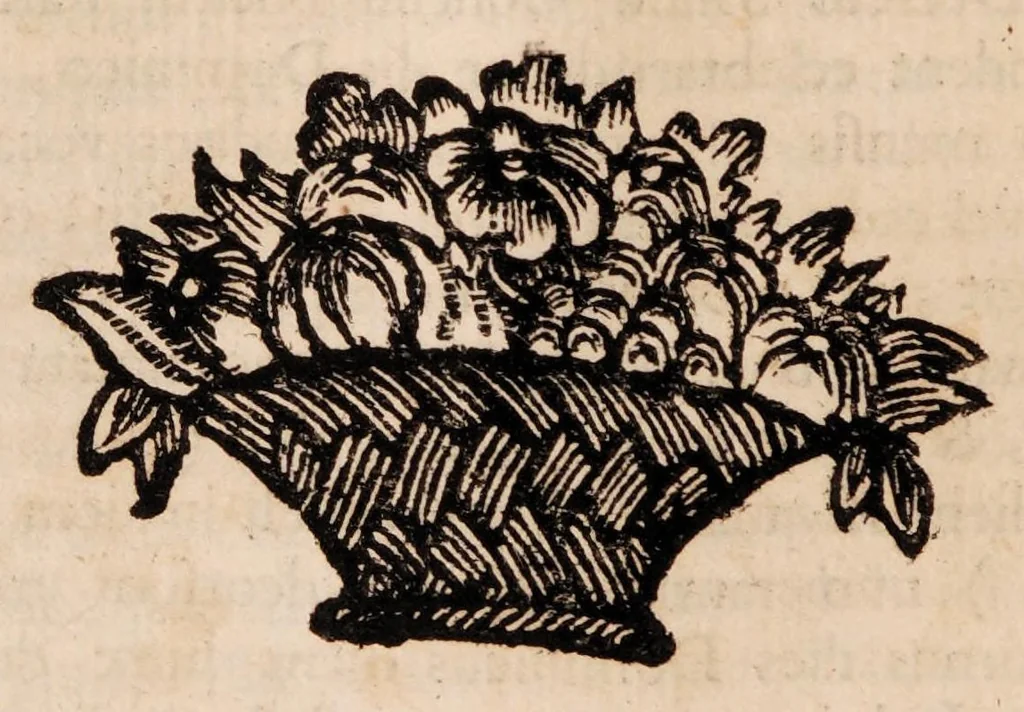 An illustration from Institutiones physicae ad usum scholarum accomodatae, 1700, leaf 86