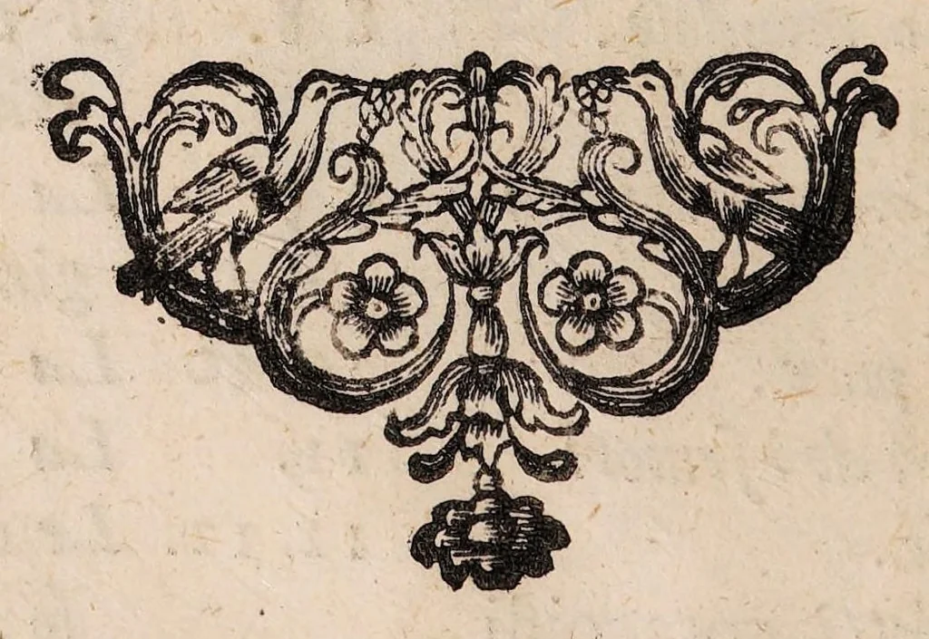 An illustration from Il corpo-umano, o breve storia, dove con nuovo metodo si descrivono in compendio tutti gli organi suoi, e i loro principali ufizi, per istruire a bene intendere, secondo il nuovo sistema, la teorica e pratica medicinale, 1700, leaf 106
