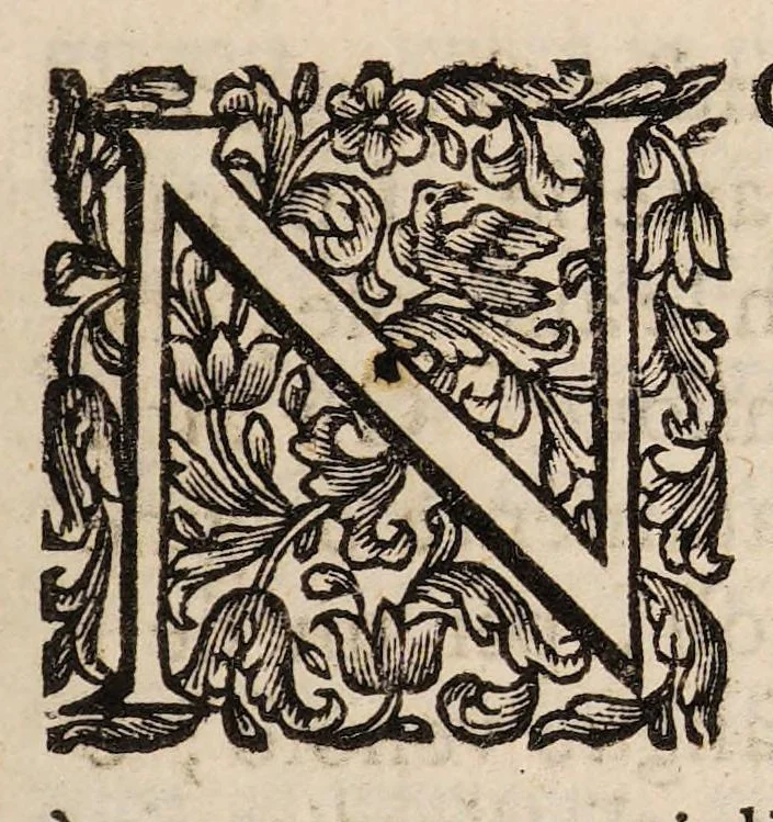 An illustration from Il corpo-umano, o breve storia, dove con nuovo metodo si descrivono in compendio tutti gli organi suoi, e i loro principali ufizi, per istruire a bene intendere, secondo il nuovo sistema, la teorica e pratica medicinale, 1700, leaf 113