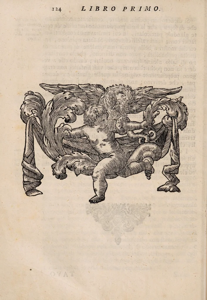 An illustration from Il corpo-umano, o breve storia, dove con nuovo metodo si descrivono in compendio tutti gli organi suoi, e i loro principali ufizi, per istruire a bene intendere, secondo il nuovo sistema, la teorica e pratica medicinale, 1700, leaf 144