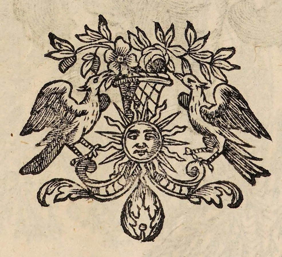 An illustration from Il corpo-umano, o breve storia, dove con nuovo metodo si descrivono in compendio tutti gli organi suoi, e i loro principali ufizi, per istruire a bene intendere, secondo il nuovo sistema, la teorica e pratica medicinale, 1700, leaf 149