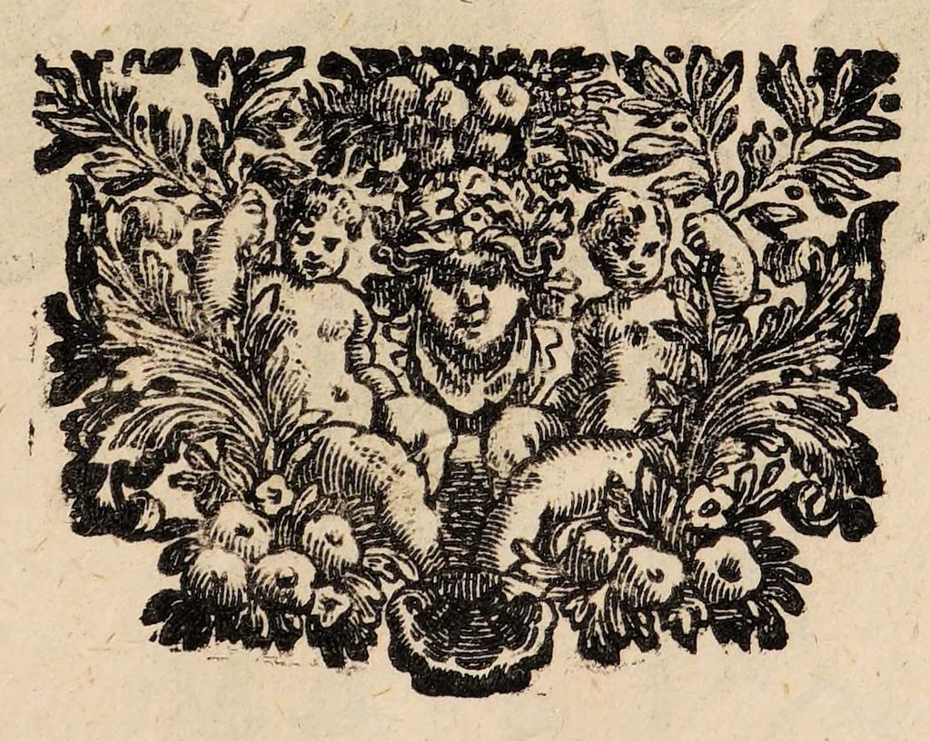 An illustration from Il corpo-umano, o breve storia, dove con nuovo metodo si descrivono in compendio tutti gli organi suoi, e i loro principali ufizi, per istruire a bene intendere, secondo il nuovo sistema, la teorica e pratica medicinale, 1700, leaf 157