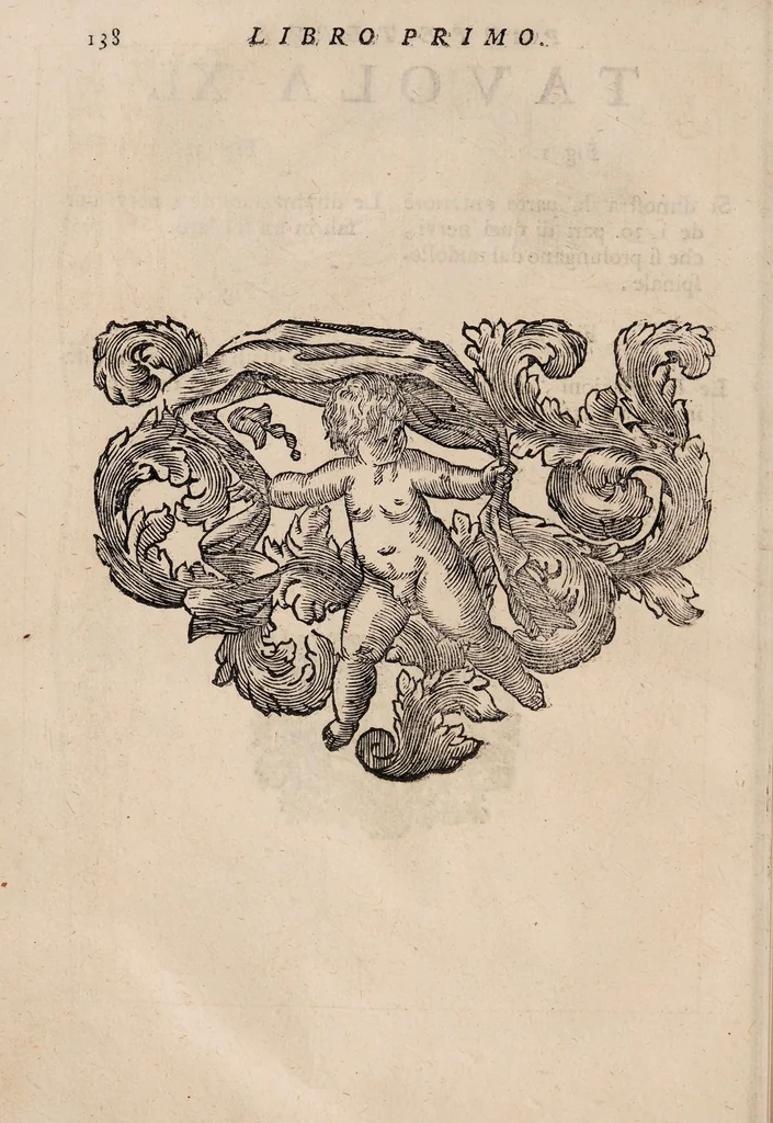 An illustration from Il corpo-umano, o breve storia, dove con nuovo metodo si descrivono in compendio tutti gli organi suoi, e i loro principali ufizi, per istruire a bene intendere, secondo il nuovo sistema, la teorica e pratica medicinale, 1700, leaf 158