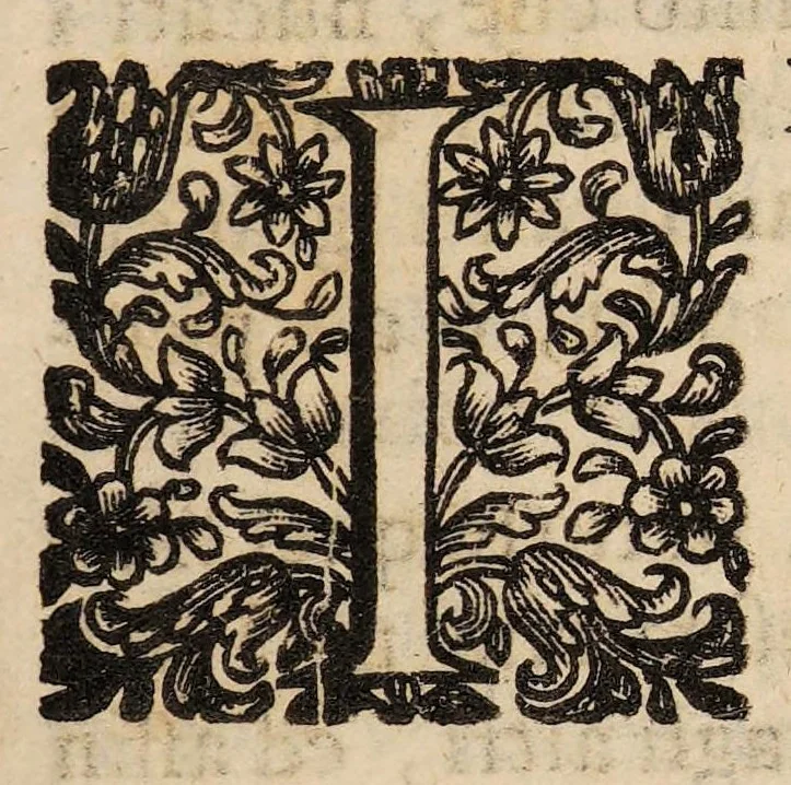 An illustration from Il corpo-umano, o breve storia, dove con nuovo metodo si descrivono in compendio tutti gli organi suoi, e i loro principali ufizi, per istruire a bene intendere, secondo il nuovo sistema, la teorica e pratica medicinale, 1700, leaf 165