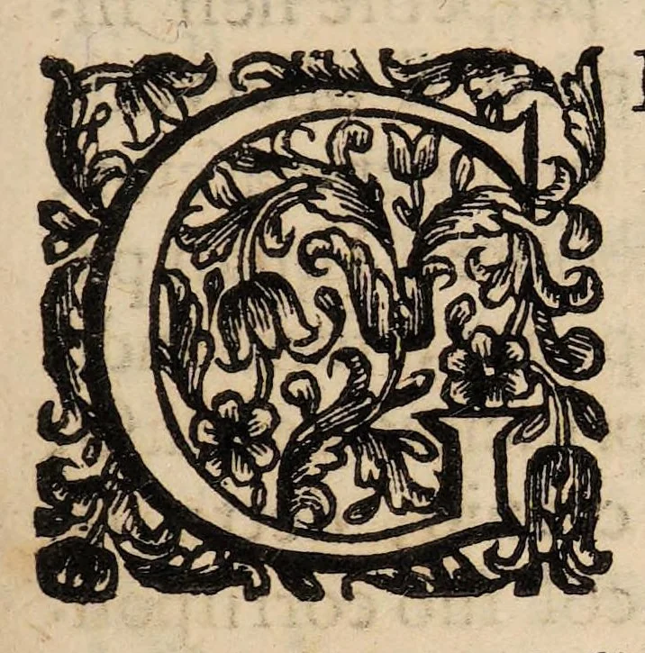 An illustration from Il corpo-umano, o breve storia, dove con nuovo metodo si descrivono in compendio tutti gli organi suoi, e i loro principali ufizi, per istruire a bene intendere, secondo il nuovo sistema, la teorica e pratica medicinale, 1700, leaf 197