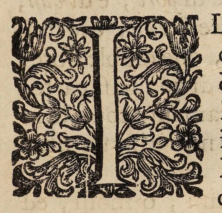 An illustration from Il corpo-umano, o breve storia, dove con nuovo metodo si descrivono in compendio tutti gli organi suoi, e i loro principali ufizi, per istruire a bene intendere, secondo il nuovo sistema, la teorica e pratica medicinale, 1700, leaf 21