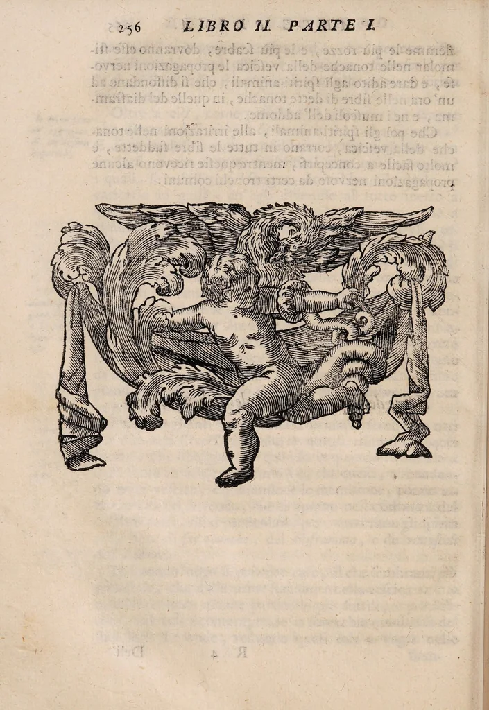 An illustration from Il corpo-umano, o breve storia, dove con nuovo metodo si descrivono in compendio tutti gli organi suoi, e i loro principali ufizi, per istruire a bene intendere, secondo il nuovo sistema, la teorica e pratica medicinale, 1700, leaf 276