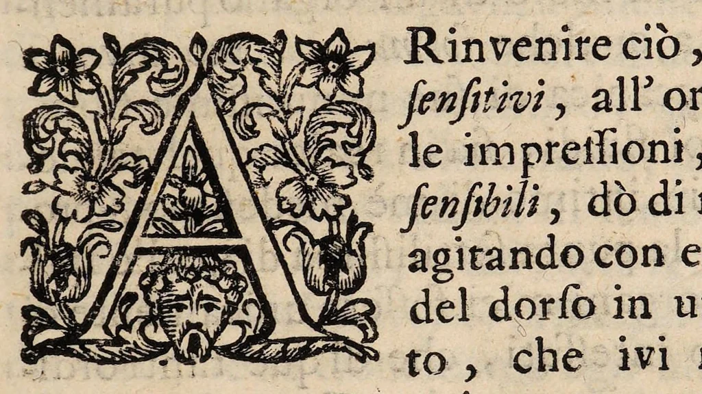 An illustration from Il corpo-umano, o breve storia, dove con nuovo metodo si descrivono in compendio tutti gli organi suoi, e i loro principali ufizi, per istruire a bene intendere, secondo il nuovo sistema, la teorica e pratica medicinale, 1700, leaf 277