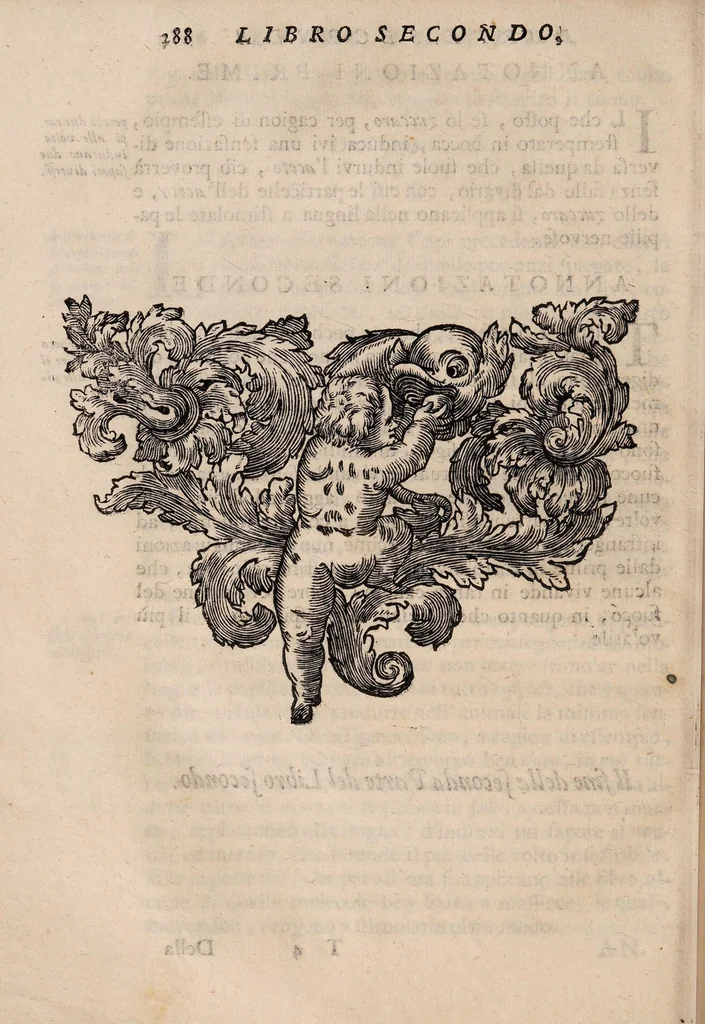 An illustration from Il corpo-umano, o breve storia, dove con nuovo metodo si descrivono in compendio tutti gli organi suoi, e i loro principali ufizi, per istruire a bene intendere, secondo il nuovo sistema, la teorica e pratica medicinale, 1700, leaf 308