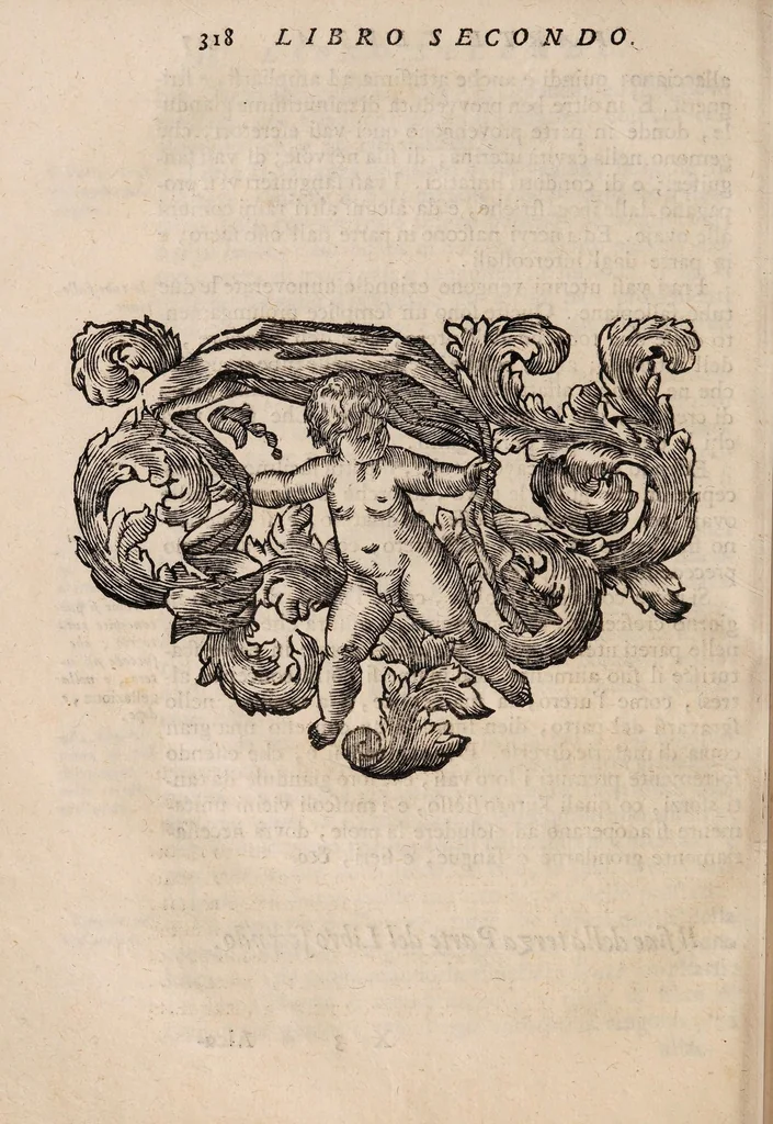 An illustration from Il corpo-umano, o breve storia, dove con nuovo metodo si descrivono in compendio tutti gli organi suoi, e i loro principali ufizi, per istruire a bene intendere, secondo il nuovo sistema, la teorica e pratica medicinale, 1700, leaf 338