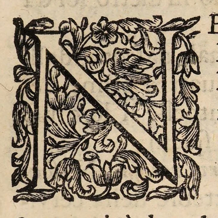 An illustration from Il corpo-umano, o breve storia, dove con nuovo metodo si descrivono in compendio tutti gli organi suoi, e i loro principali ufizi, per istruire a bene intendere, secondo il nuovo sistema, la teorica e pratica medicinale, 1700, leaf 357