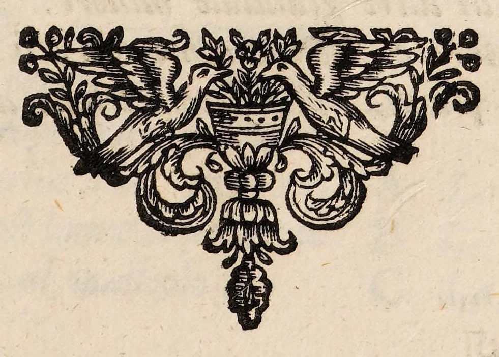 An illustration from Il corpo-umano, o breve storia, dove con nuovo metodo si descrivono in compendio tutti gli organi suoi, e i loro principali ufizi, per istruire a bene intendere, secondo il nuovo sistema, la teorica e pratica medicinale, 1700, leaf 49