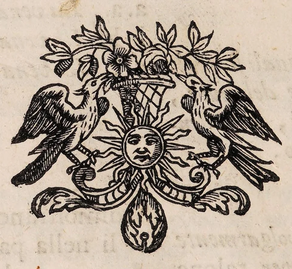 An illustration from Il corpo-umano, o breve storia, dove con nuovo metodo si descrivono in compendio tutti gli organi suoi, e i loro principali ufizi, per istruire a bene intendere, secondo il nuovo sistema, la teorica e pratica medicinale, 1700, leaf 52