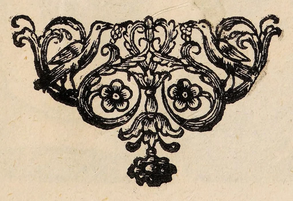 An illustration from Il corpo-umano, o breve storia, dove con nuovo metodo si descrivono in compendio tutti gli organi suoi, e i loro principali ufizi, per istruire a bene intendere, secondo il nuovo sistema, la teorica e pratica medicinale, 1700, leaf 63