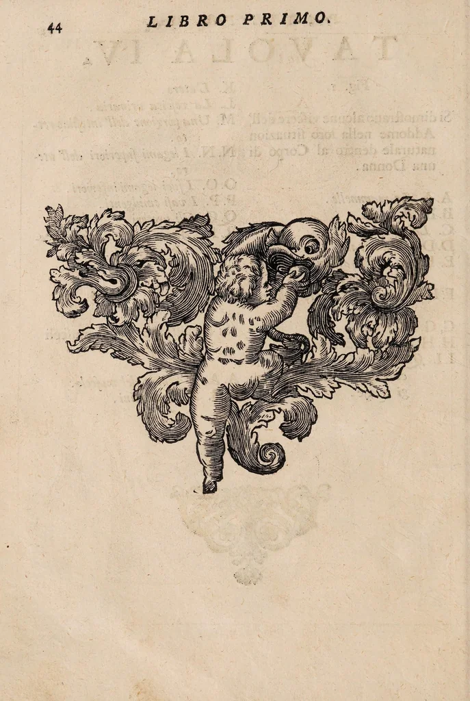 An illustration from Il corpo-umano, o breve storia, dove con nuovo metodo si descrivono in compendio tutti gli organi suoi, e i loro principali ufizi, per istruire a bene intendere, secondo il nuovo sistema, la teorica e pratica medicinale, 1700, leaf 64