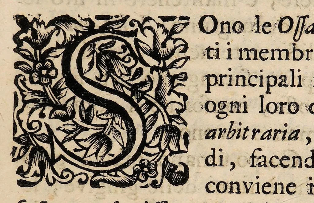 An illustration from Il corpo-umano, o breve storia, dove con nuovo metodo si descrivono in compendio tutti gli organi suoi, e i loro principali ufizi, per istruire a bene intendere, secondo il nuovo sistema, la teorica e pratica medicinale, 1700, leaf 73