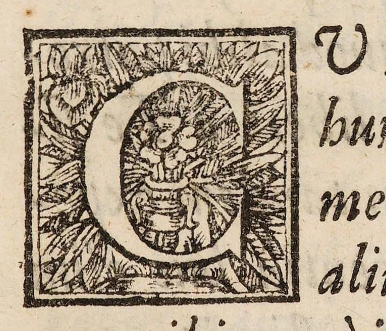An illustration from Philosophus autodidactus, sive Epistola Abi Jaafar ebn Tophail de Hai ebn Yokdhan : in qua ostenditur, quomodo ex inferiorum contemplatione ad superiorum notitiam ratio humana ascendere possit, 1700, leaf 220