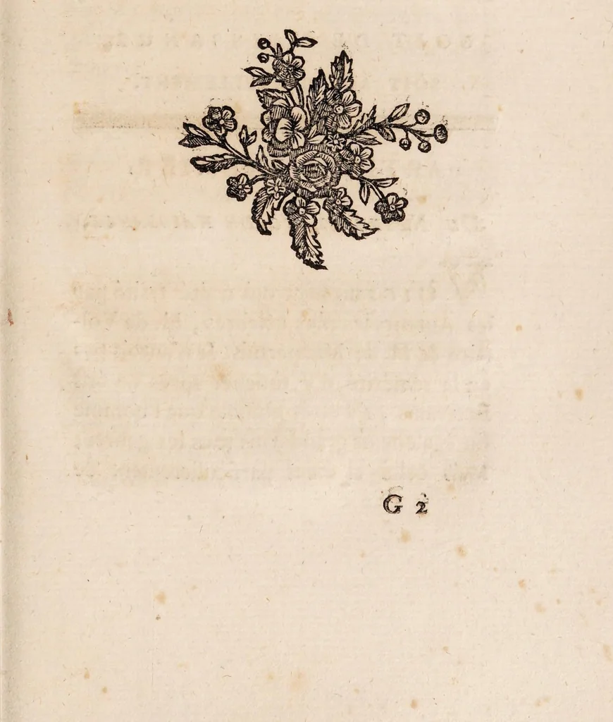 An illustration from Traité de la couleur de la peau humaine en général; de celle des negres en particulier, et de la métamorphose d'une de ces couleurs en l'autre, soit de naissance, soit accidentellement. Ouvrage divisé en trois parties, 1765, leaf 119