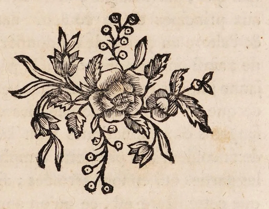 An illustration from Traité de la couleur de la peau humaine en général; de celle des negres en particulier, et de la métamorphose d'une de ces couleurs en l'autre, soit de naissance, soit accidentellement. Ouvrage divisé en trois parties, 1765, leaf 175