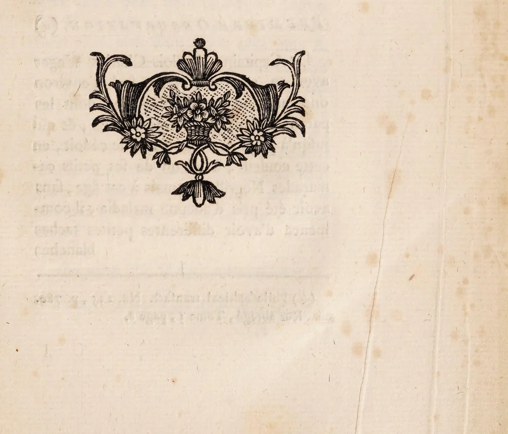 An illustration from Traité de la couleur de la peau humaine en général; de celle des negres en particulier, et de la métamorphose d'une de ces couleurs en l'autre, soit de naissance, soit accidentellement. Ouvrage divisé en trois parties, 1765, leaf 139