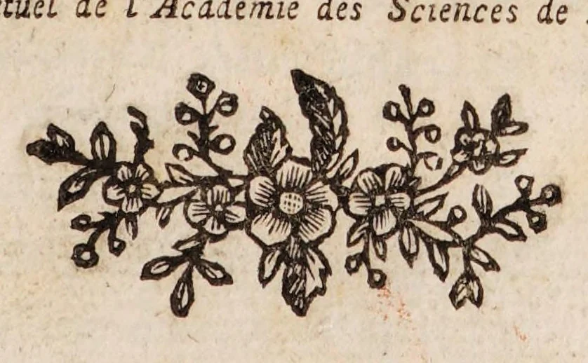 An illustration from Traité de la couleur de la peau humaine en général; de celle des negres en particulier, et de la métamorphose d'une de ces couleurs en l'autre, soit de naissance, soit accidentellement. Ouvrage divisé en trois parties, 1765, leaf 15