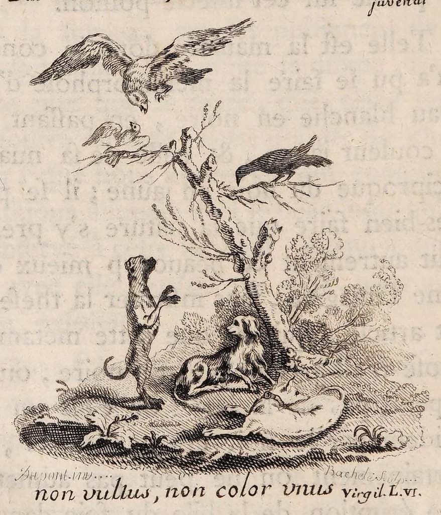 An illustration from Traité de la couleur de la peau humaine en général; de celle des negres en particulier, et de la métamorphose d'une de ces couleurs en l'autre, soit de naissance, soit accidentellement. Ouvrage divisé en trois parties, 1765, leaf 208