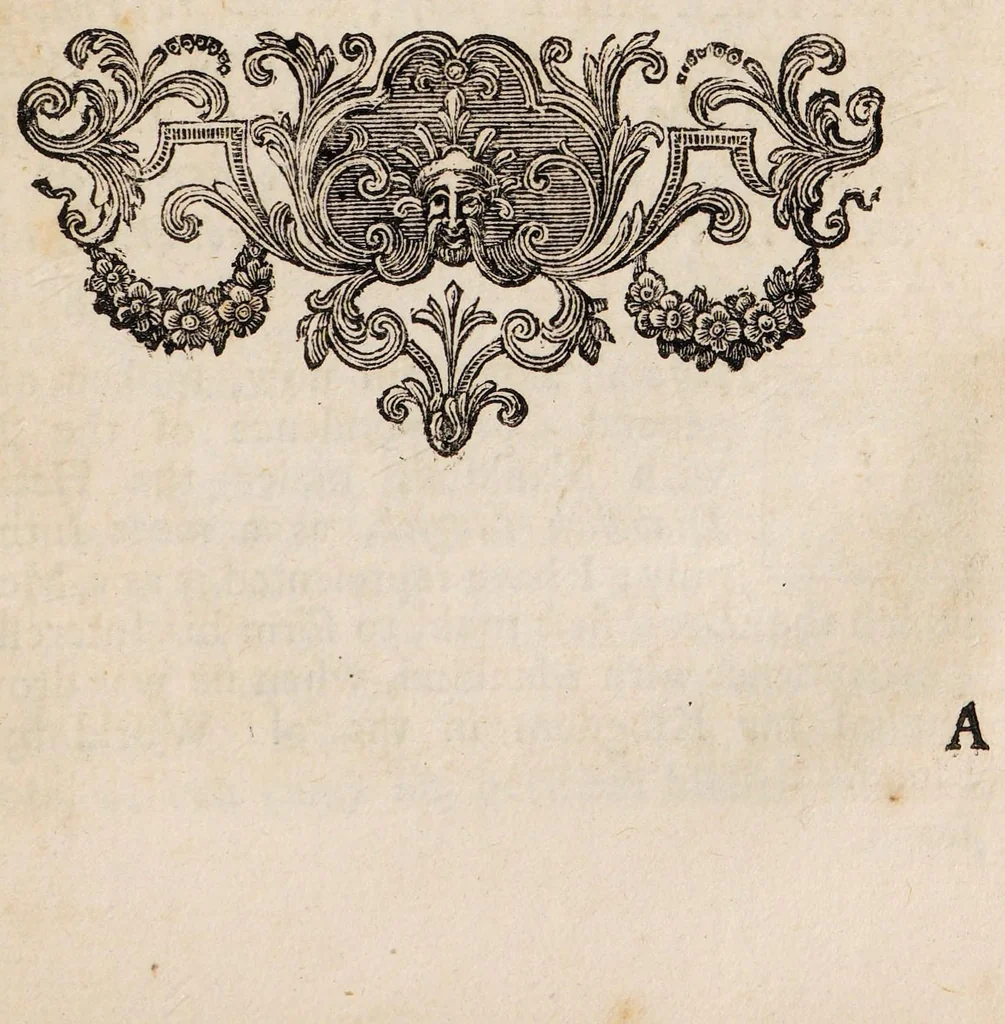 An illustration from A system of magick; or, a history of the black art. Being an historical account of mankind's most early dealing with the Devil; and how the acquaintance on both sides first began..., 1727, leaf 235