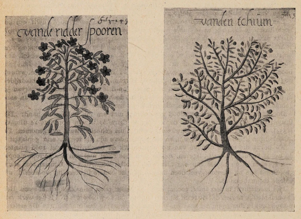 An illustration from Griechische Zauberpapyri und das Gemeinde- und Dankgebet im I. Klemensbriefe, 1909, leaf 78