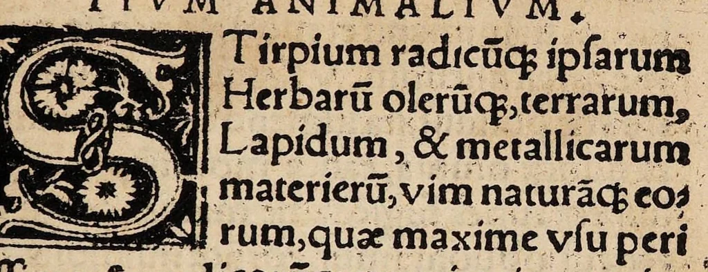 An illustration from Georgii Vallae Placentini viri clariss. De natura partium animalium, 1529, leaf 5