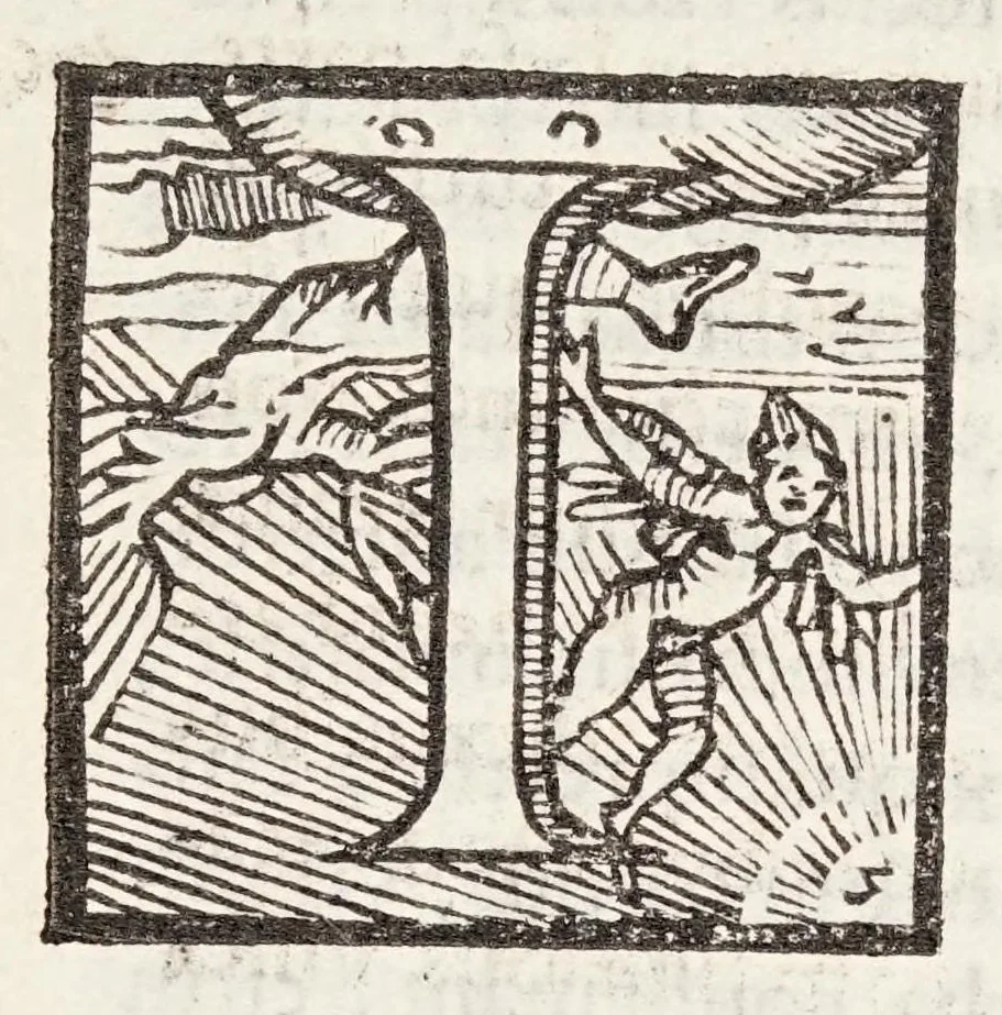 An illustration from Ioannis Baptistae Susii, philosophi, ac medici mirandulensis. Libri tres. De venis edirectò secandis; : in quibus Matthaei Curtij praeceptoris sui sententia defenditur, aduersus Andream Turinum, Benedictum Victorium, Victorem Trincauellium, & Andream Vesalium, 1559, leaf 52