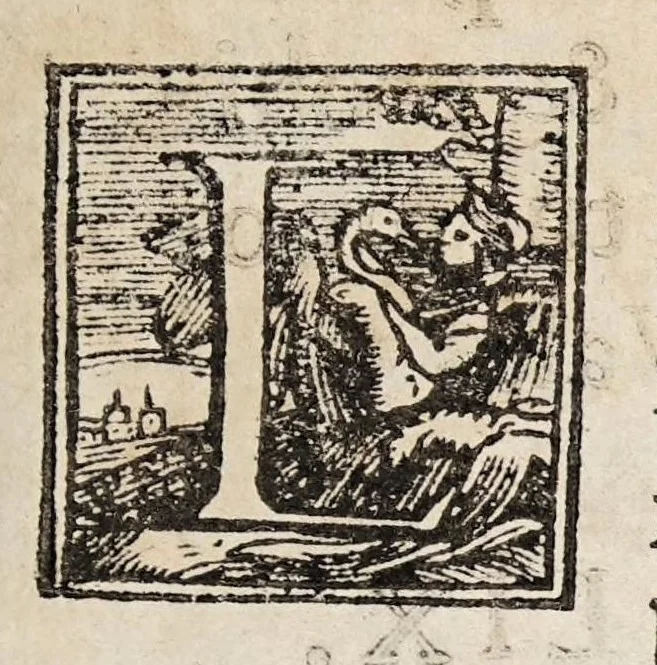 An illustration from Ioannis Baptistae Susii, philosophi, ac medici mirandulensis. Libri tres. De venis edirectò secandis; : in quibus Matthaei Curtij praeceptoris sui sententia defenditur, aduersus Andream Turinum, Benedictum Victorium, Victorem Trincauellium, & Andream Vesalium, 1559, leaf 7