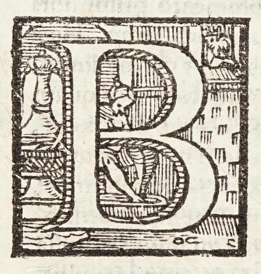An illustration from Ioannis Baptistae Susii, philosophi, ac medici mirandulensis. Libri tres. De venis edirectò secandis; : in quibus Matthaei Curtij praeceptoris sui sententia defenditur, aduersus Andream Turinum, Benedictum Victorium, Victorem Trincauellium, & Andream Vesalium, 1559, leaf 70