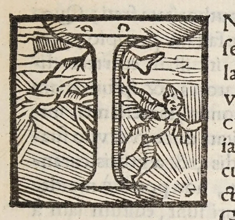 An illustration from Ioannis Baptistae Susii, philosophi, ac medici mirandulensis. Libri tres. De venis edirectò secandis; : in quibus Matthaei Curtij praeceptoris sui sententia defenditur, aduersus Andream Turinum, Benedictum Victorium, Victorem Trincauellium, & Andream Vesalium, 1559, leaf 9