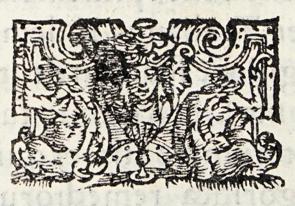 An illustration from Scipionis Cassolae medici Parmensis cum Joanne Francisco Boccalino ... disceptatio, an epithematum vsus antiquis medicis fuerit cognitus, 1565, leaf 18