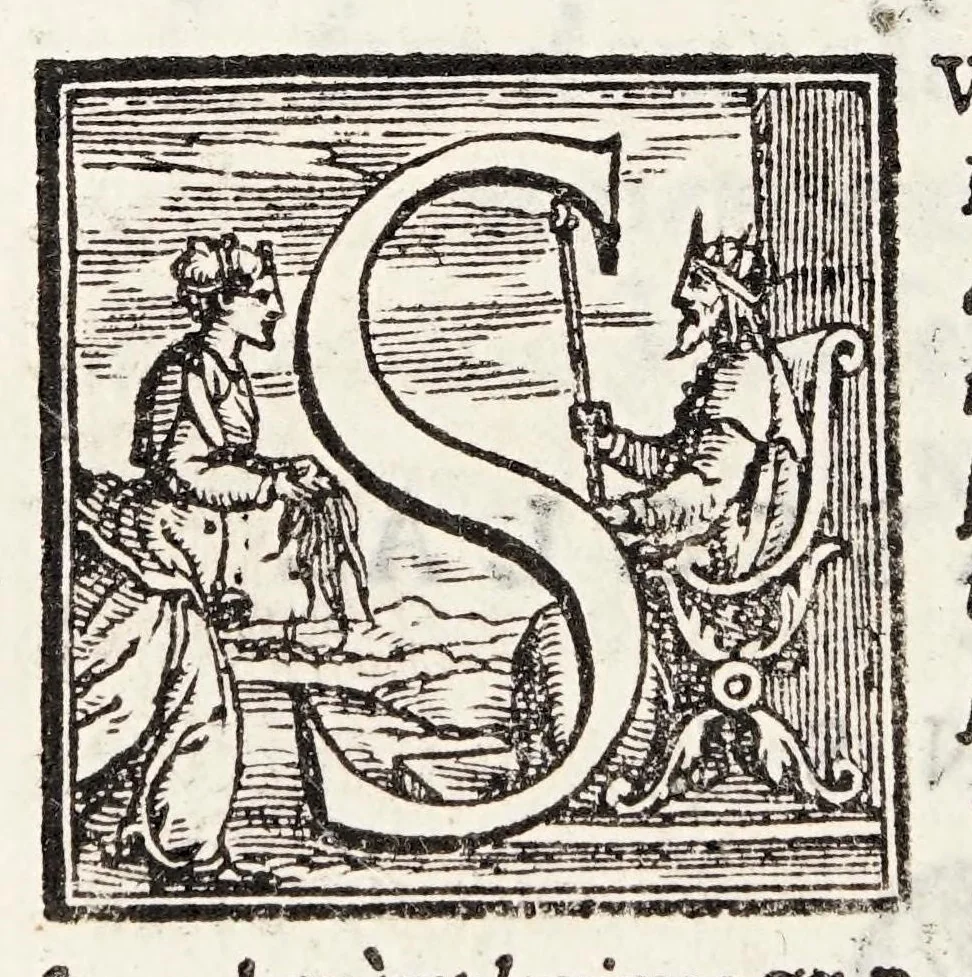 An illustration from Scipionis Cassolae medici Parmensis cum Joanne Francisco Boccalino ... disceptatio, an epithematum vsus antiquis medicis fuerit cognitus, 1565, leaf 20