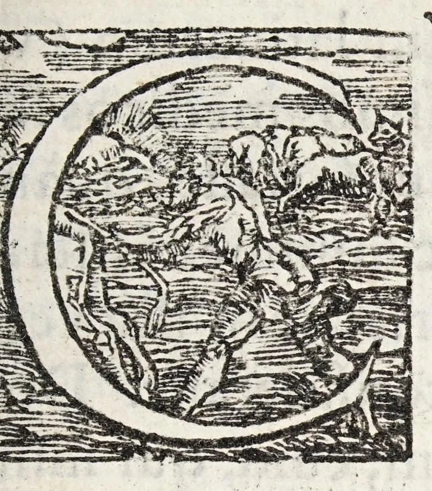 An illustration from Scipionis Cassolae medici Parmensis cum Joanne Francisco Boccalino ... disceptatio, an epithematum vsus antiquis medicis fuerit cognitus, 1565, leaf 5